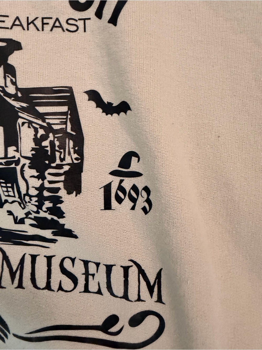 Sanderson Museum Sweatshirt - Picture 2 of 4